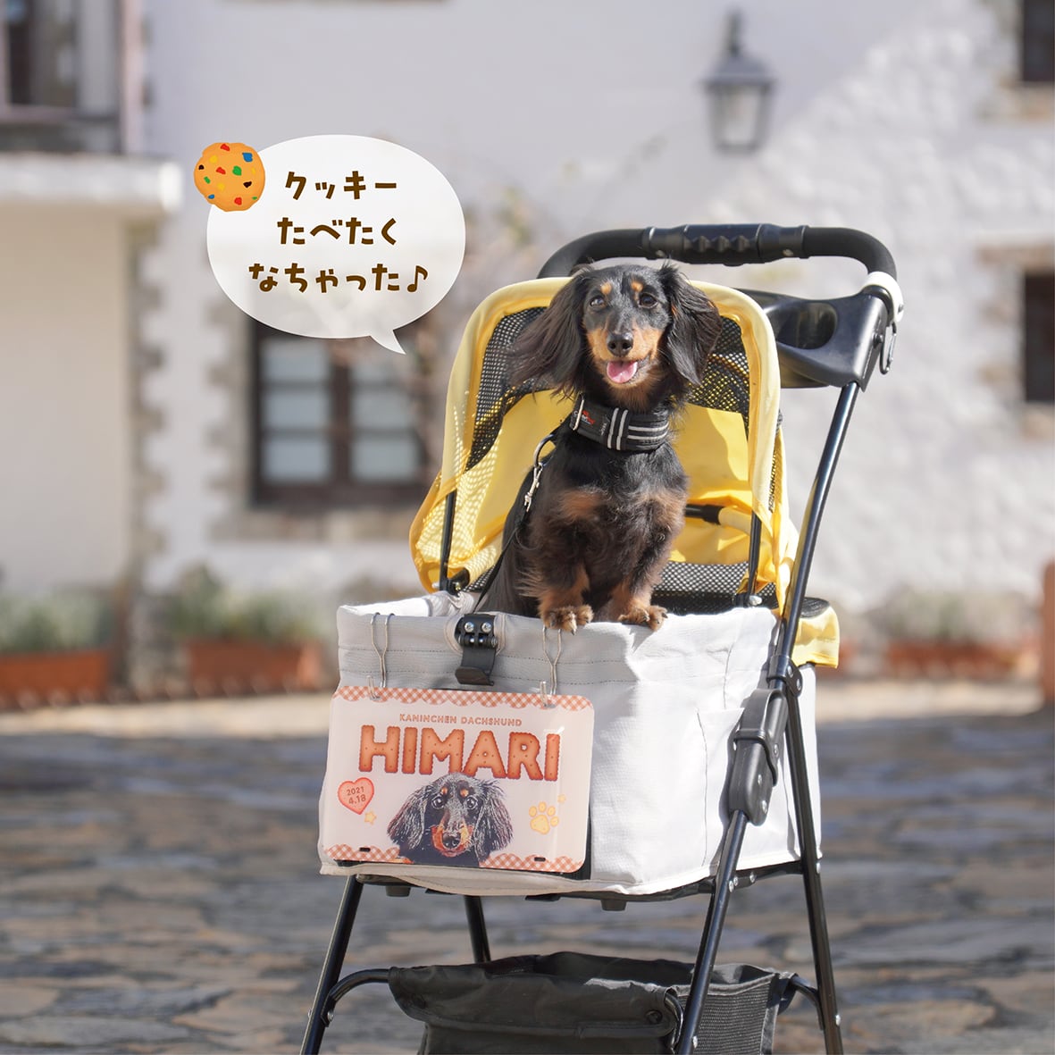 カート ネームプレート 〈ビスケットstyle〉 | ひまわんギャラリー