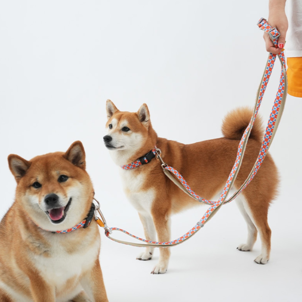 【PUPPYGALLERY公式】ポーカーフェイス・レトロフラワーリード　XS