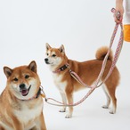 【PUPPYGALLERY公式】ポーカーフェイス・レトロフラワーリード　XS