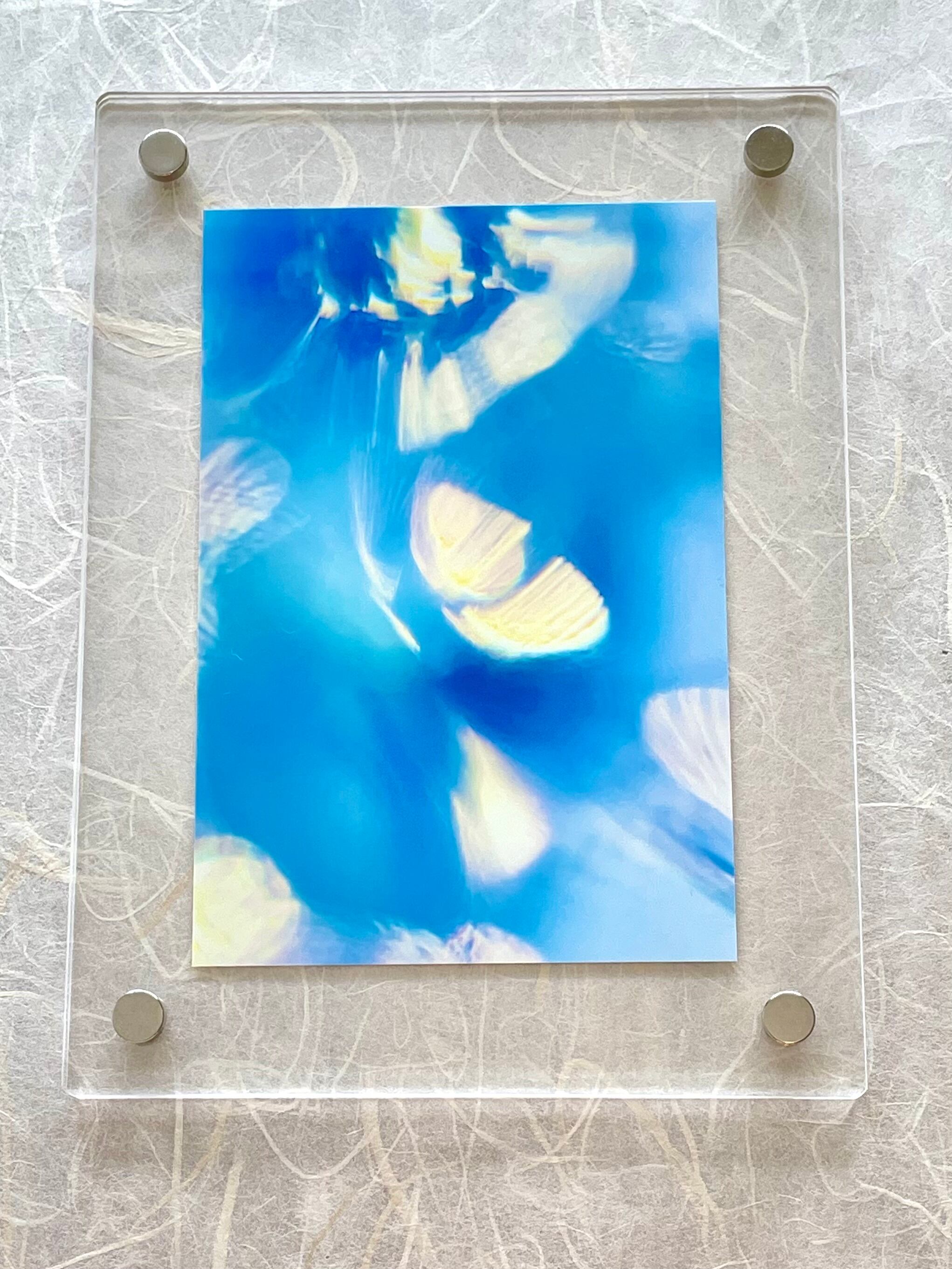 Wim Wenders「sofort bilder」CO BERLIN展覧ポスター | Pay ID