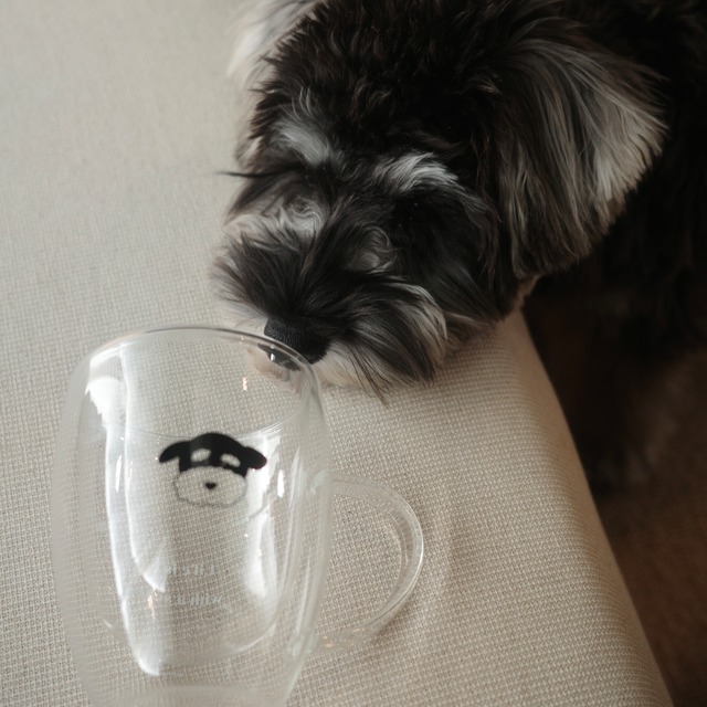 neko doublewall glass