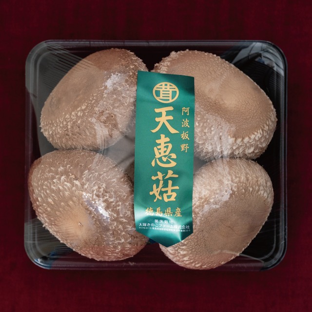 天恵菇（てんけいこ）約320g（4枚）×2パック