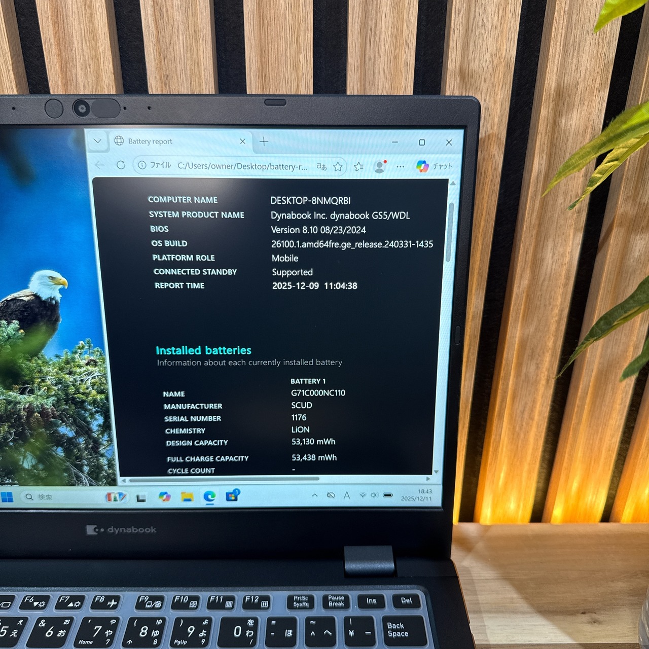 \ 公式ショップ限定価格❣️/ 極美品《2023年モデル》東芝 dynabook GS5/WDL 第13世代 メモリ16GB SSD512GB ノートパソコン 安心サポート＆3ヶ月保証付き