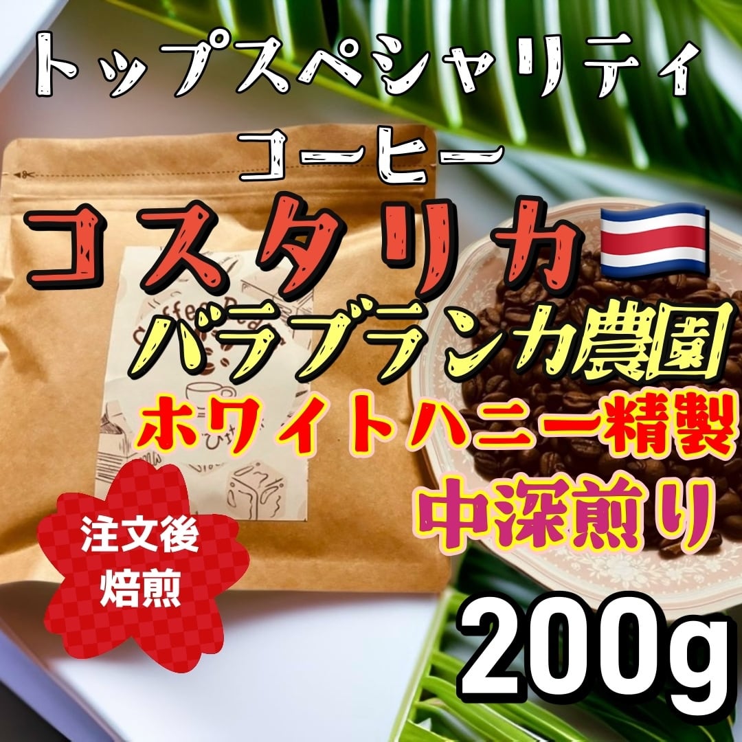 自家焙煎コーヒー豆 ホンジュラス エル・ピノ農園 最高規格SHG 中煎り