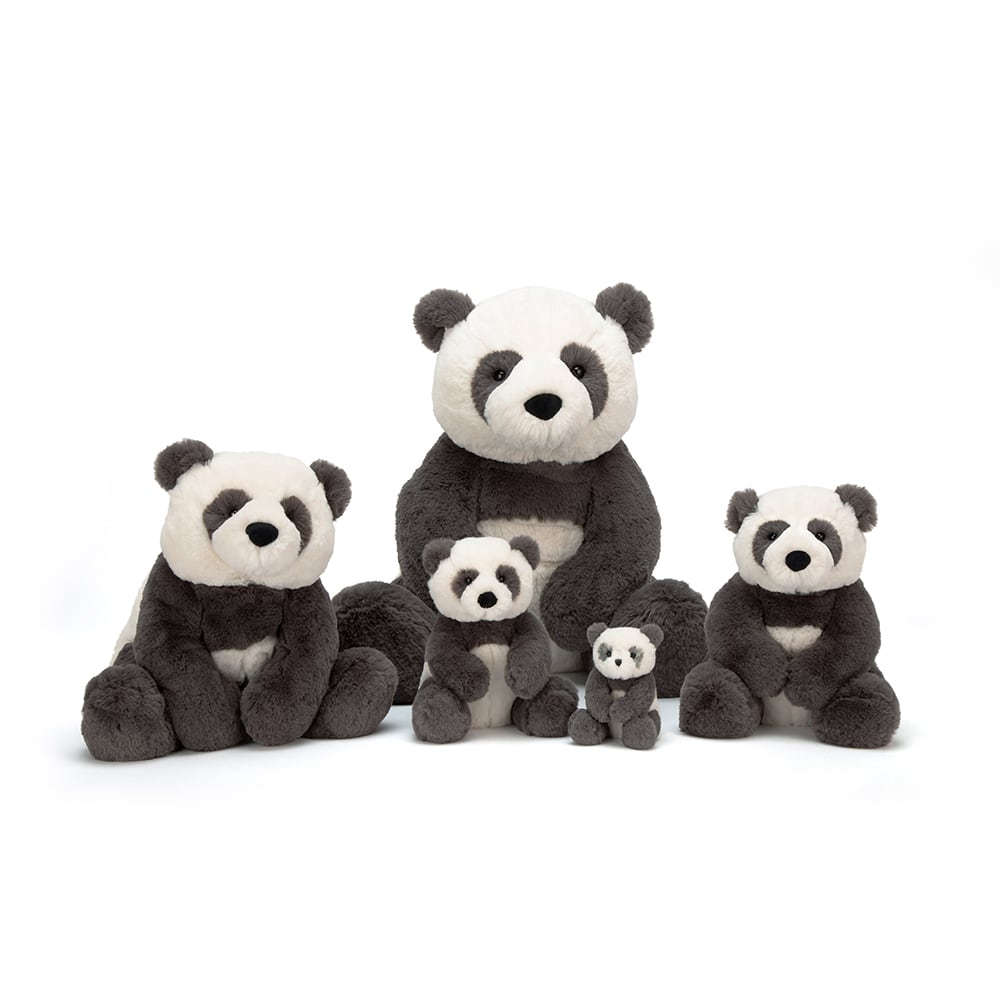 Harry Panda Cub Tiny_HA6PC