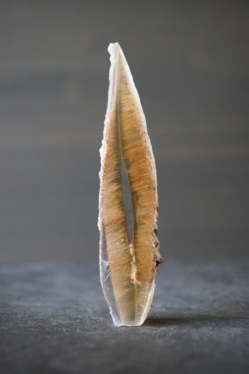 スペイン産バイカラーセレナイト Selenite  981