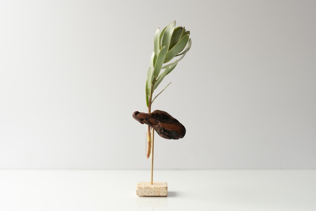 Driftwood flower vase 2 - Natural Stone square -