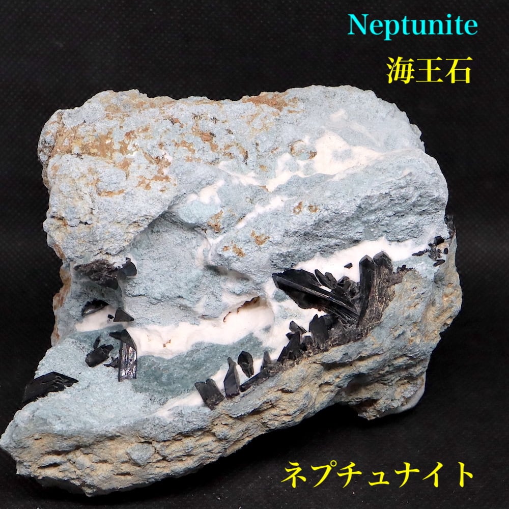 大きい！母岩付き ネプチュナイト 海王石 原石 554g BN155 天然石-