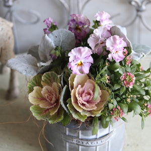 冬から春に楽しむ寄せ植え　ビオラティアードのピンクの小さなお正月　　お正月にオススメ　届いてすぐ玄関に飾れる 　プレゼントにもオススメ　