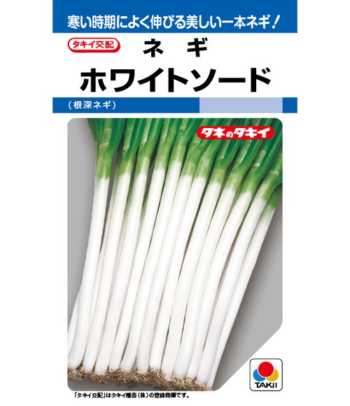 ネギ「ホワイトソード」（P5000粒） 画像