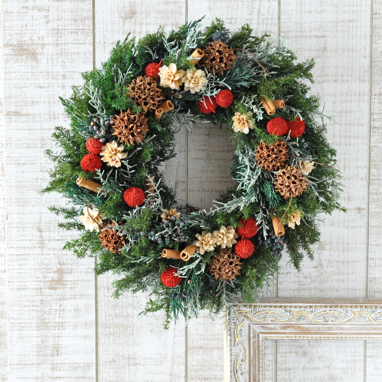クリスマス花材 神戸リゾ 木の実セット