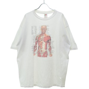 VINTAGE / ヴィンテージ 90s〜 anatomical chart アナトミカルチャート 骨格標本半袖Tシャツ