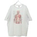 VINTAGE / ヴィンテージ 90s〜 anatomical chart アナトミカルチャート 骨格標本半袖Tシャツ