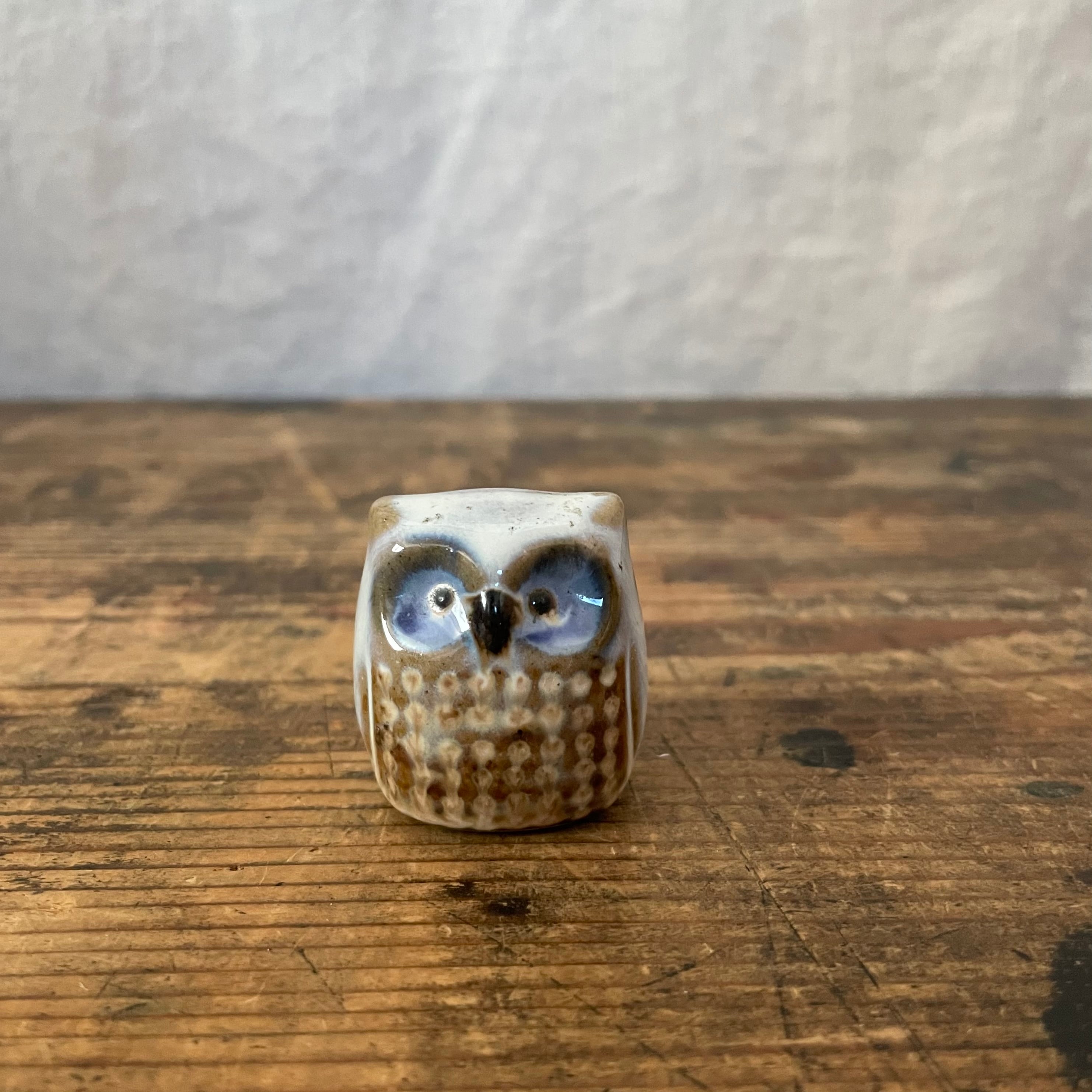 青い目のフクロウ