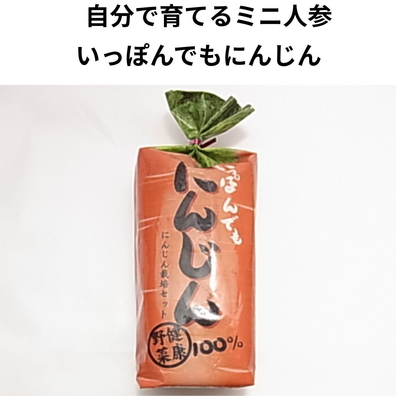 一本でもにんじん ミニ人参 種 手のひらサイズ お鍋の野菜シリーズ