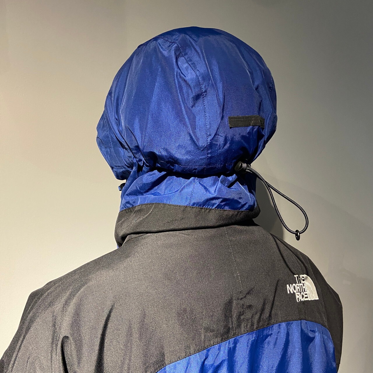 THE NORTH FACE SUMMIT SERIES ザ ノースフェイス ゴアテックス メンズ 