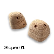 【木製クライミングホールド】SYMMETRIC SLOPER-2 6P