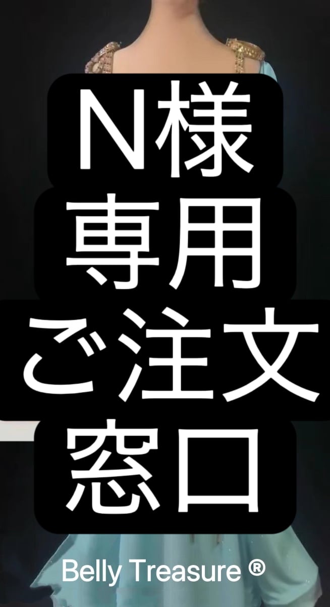 N様専用 ご注文窓口 ベリーダンス オーダーメイド衣装 LY