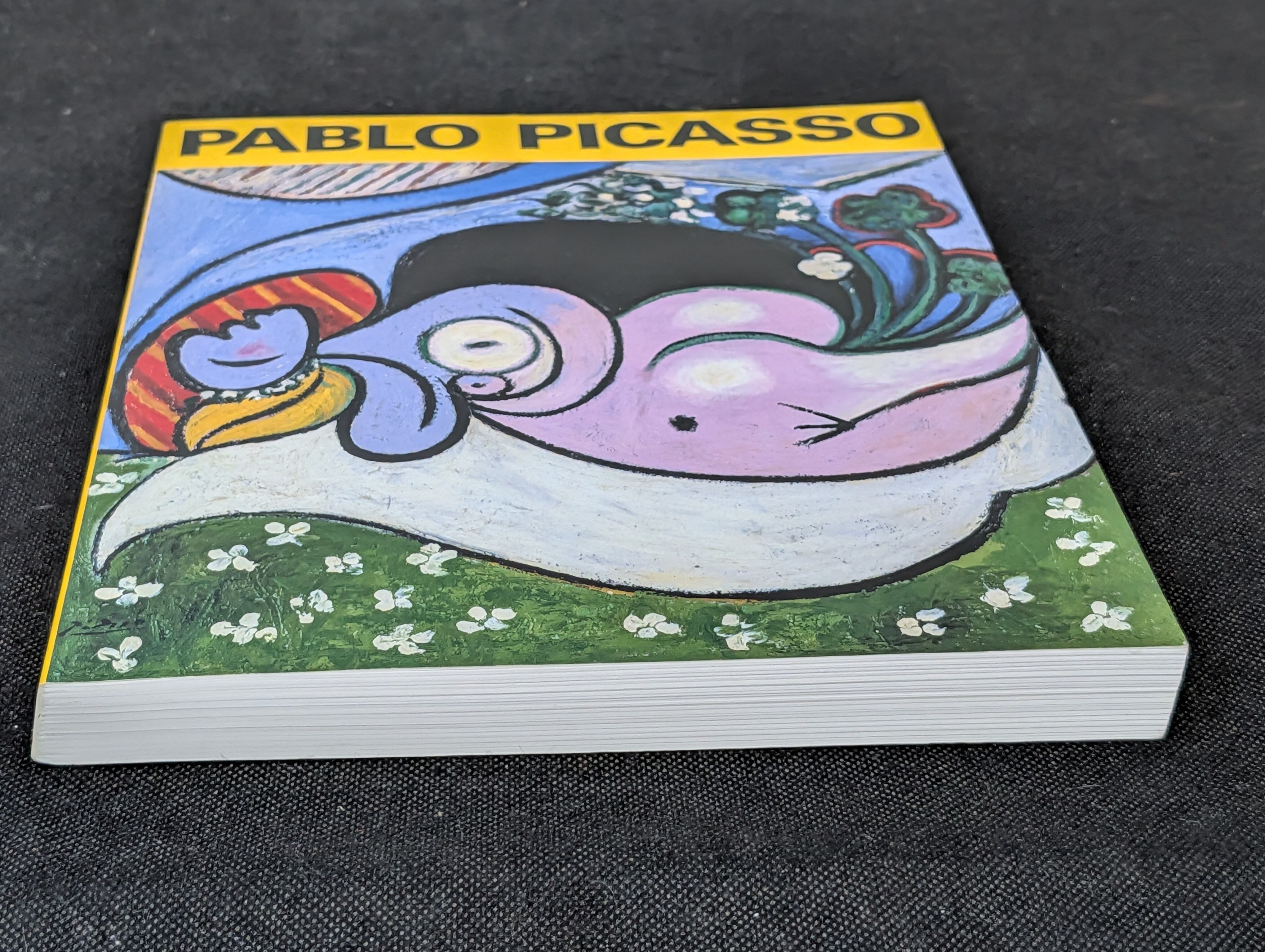 ピカソ展 PABLO PICASSO 図録 1998年┃古本┃ | 古本とうつわとアート