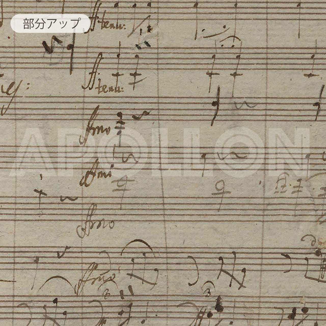 ベートーヴェン：交響曲 第7番 イ長調 第2楽章 Op.92／Beethoven