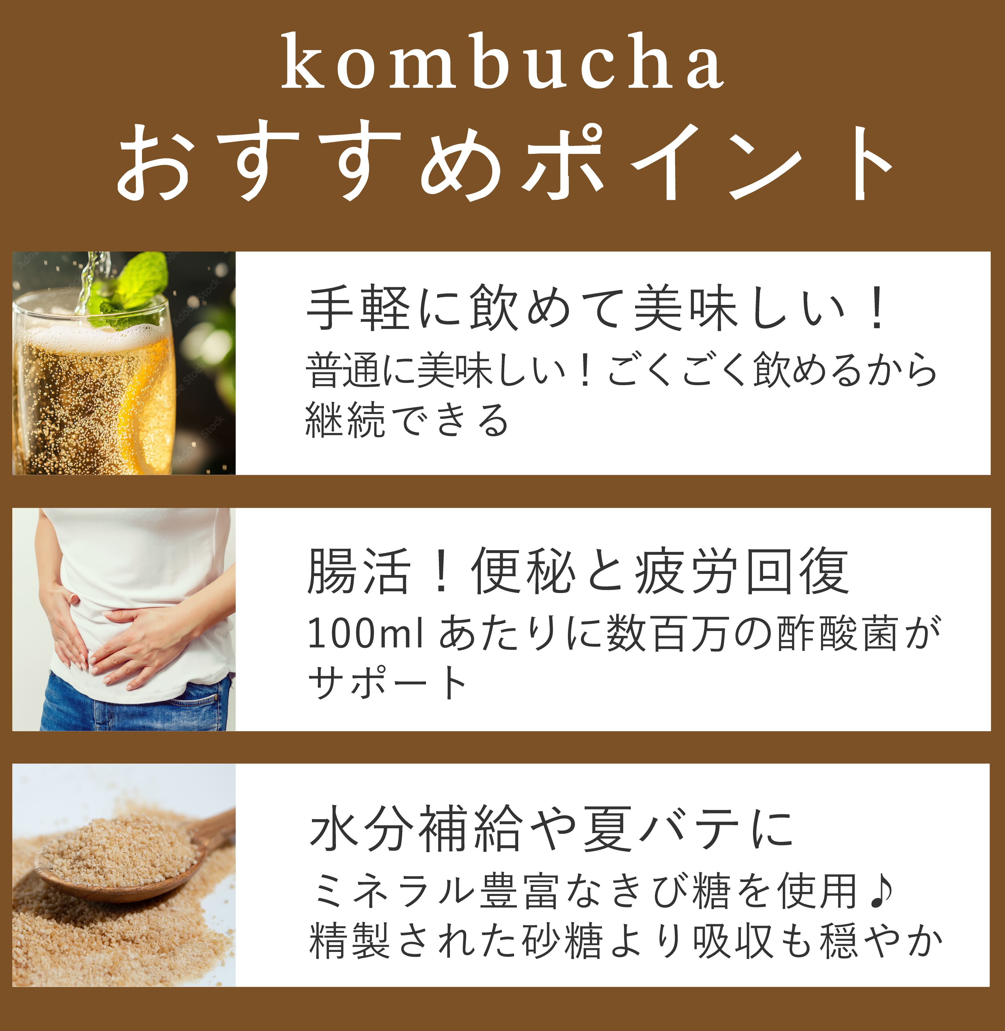 Coffee kombucha 500ml 1本 化粧箱入 | kombucha2025