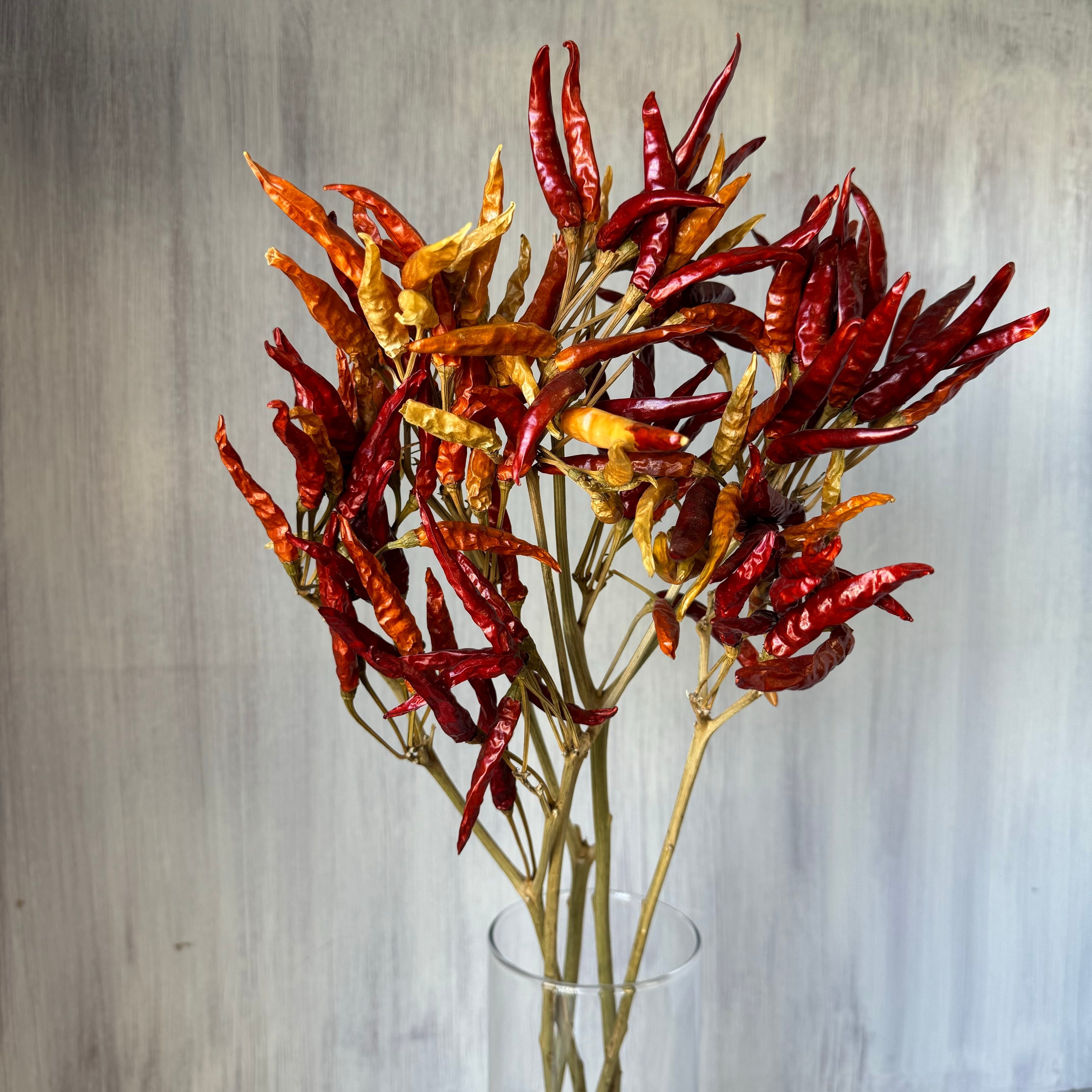 トウガラシ 5本 ドライフラワー | 新鮮お花問屋 Jp-Farmers.com