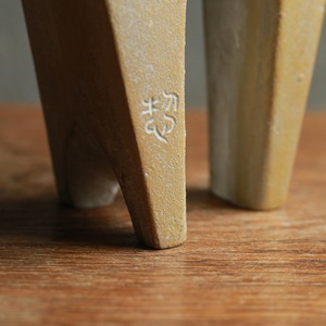 未来を見つめる、ゴールドが美しい馬