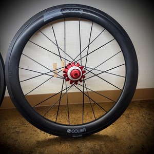 colorplus carbon wheelセット【Birdy用20in F20/R24】