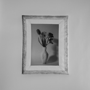 【受注商品】静物画 STILL LIFE｜Flowers｜All