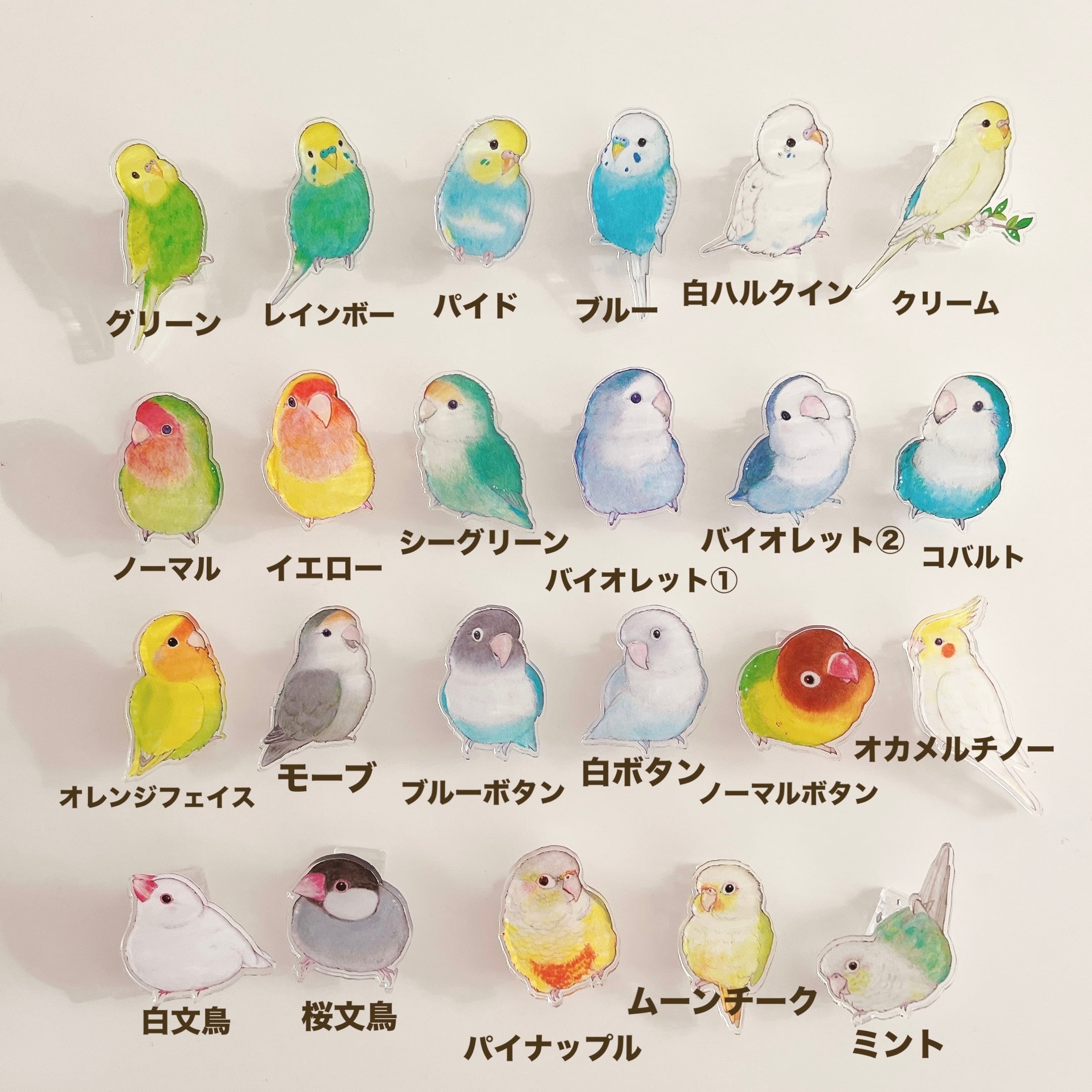 アクリルクリップ | aoamo