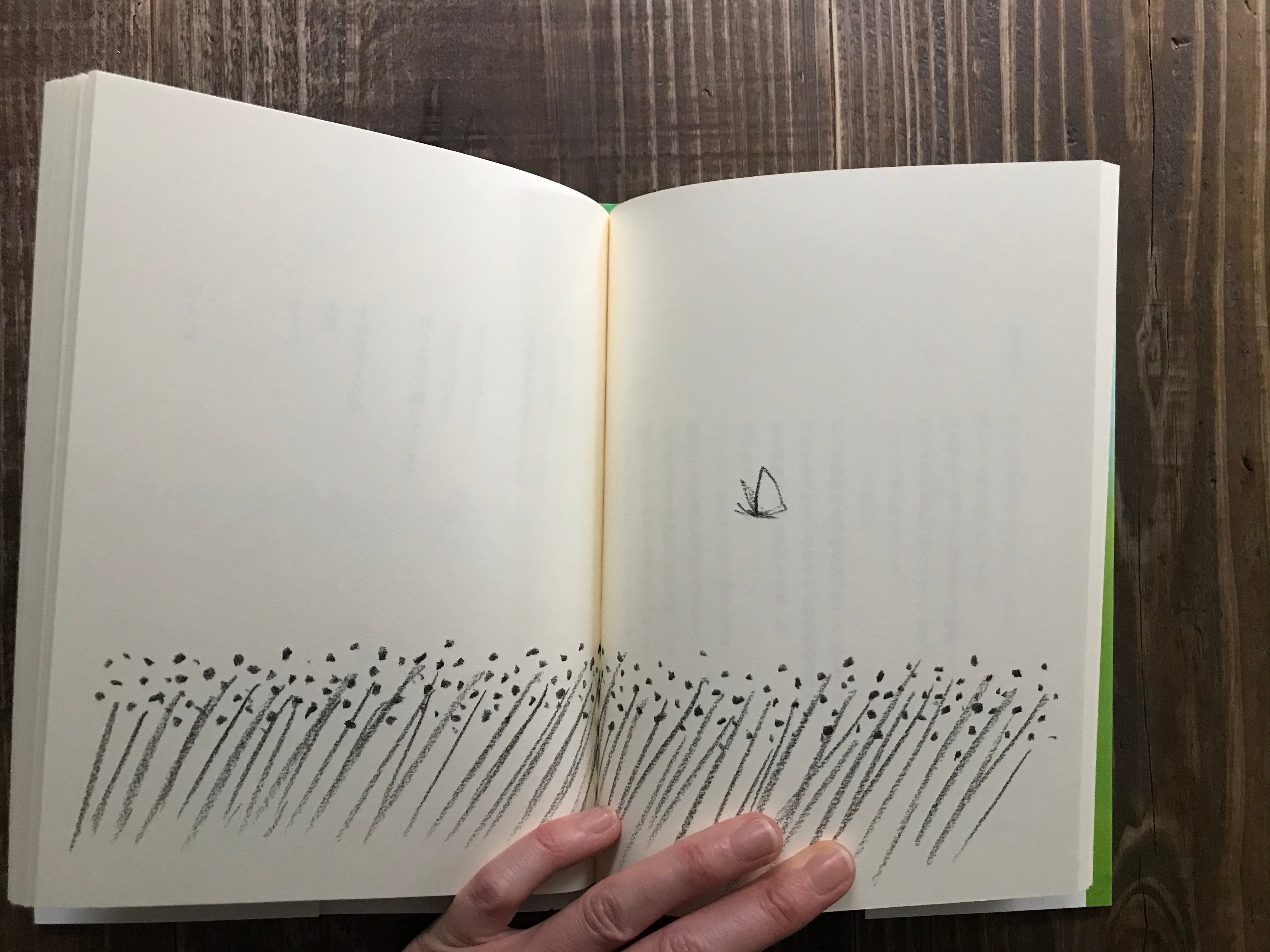 fb2a04fd5b693ab74776c3fcd35532