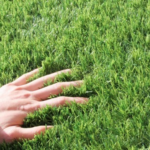 【在庫処分】タンスのゲン 人工芝 ロール 高密度 高耐久 芝丈35mm 1m×20m 人工芝生 マット U字ピン24本付 フレッシュグリーン 50900092(90209)