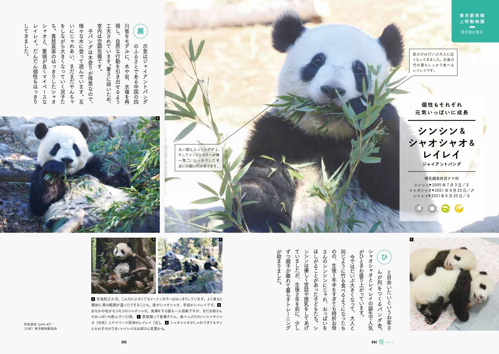 動物園めぐり シーズン2 | GB e-shop