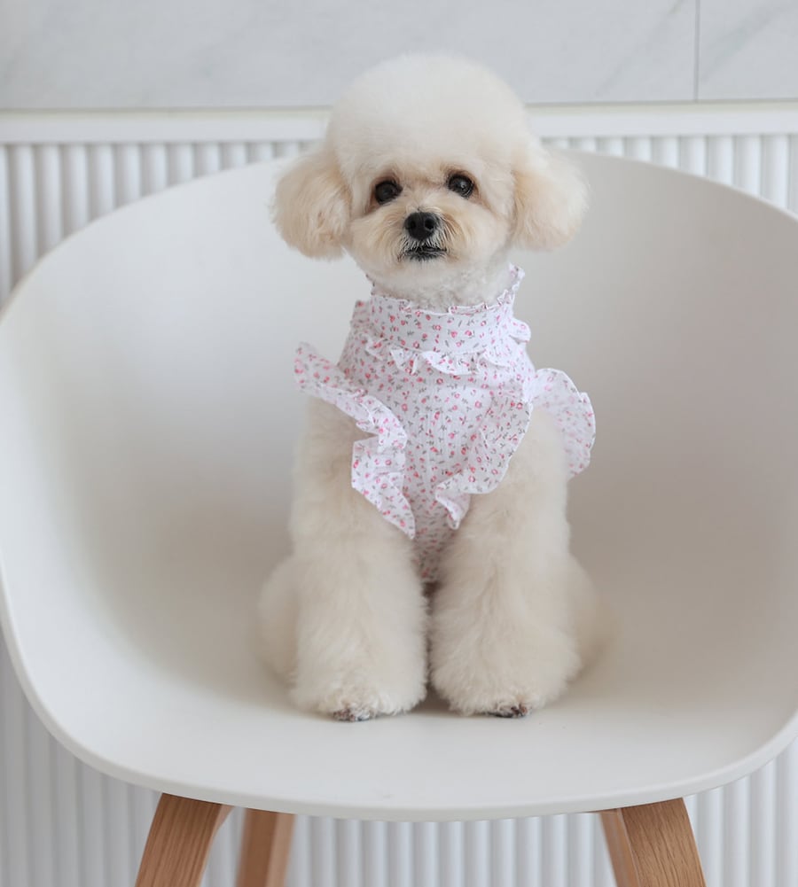 luv flower frill blouses S ~ XL 2color / ドッグウェア 犬服 フリル袖 ブラウス 袖なし 可愛い 犬の服 春夏 新作 花柄 シャツ おしゃれ top160