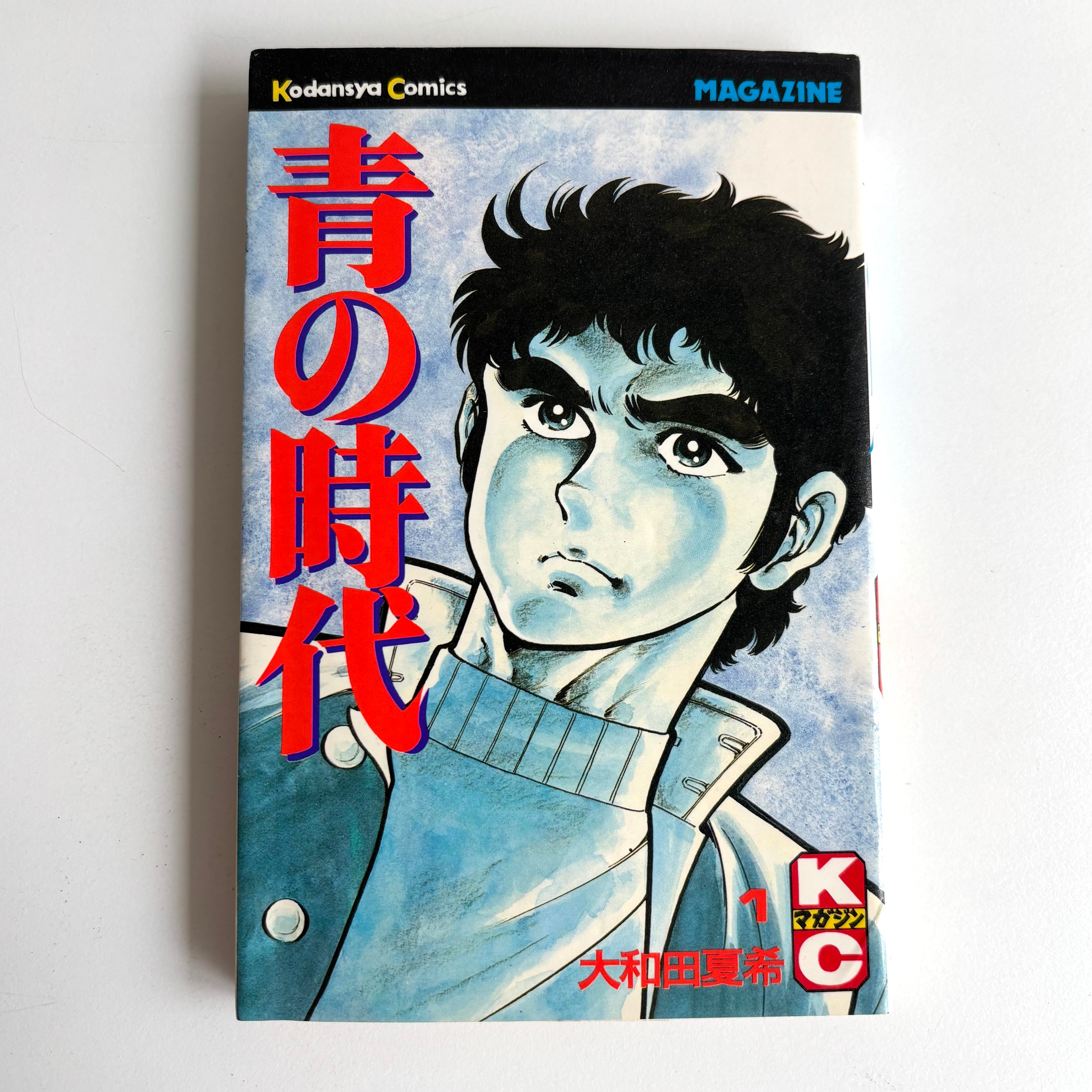 芦奈野ひとし『ヨコハマ買い出し紀行』全14巻／講談社 アフタヌーン