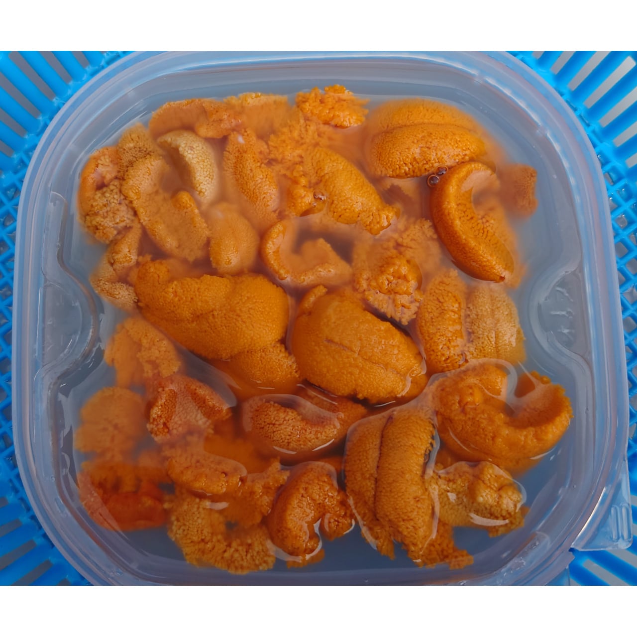 利尻産 エゾバフンウニ 100g 生うに（塩水うに）