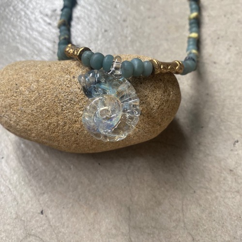 ammonite dream