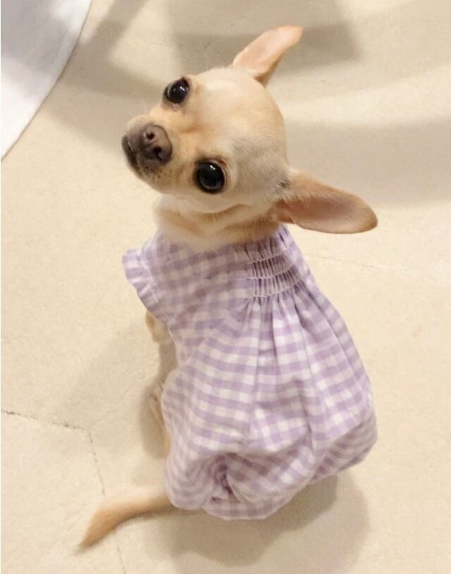 ハンドメイド♡犬服 さくらんぼの切り替えバルーンキャミワンピース