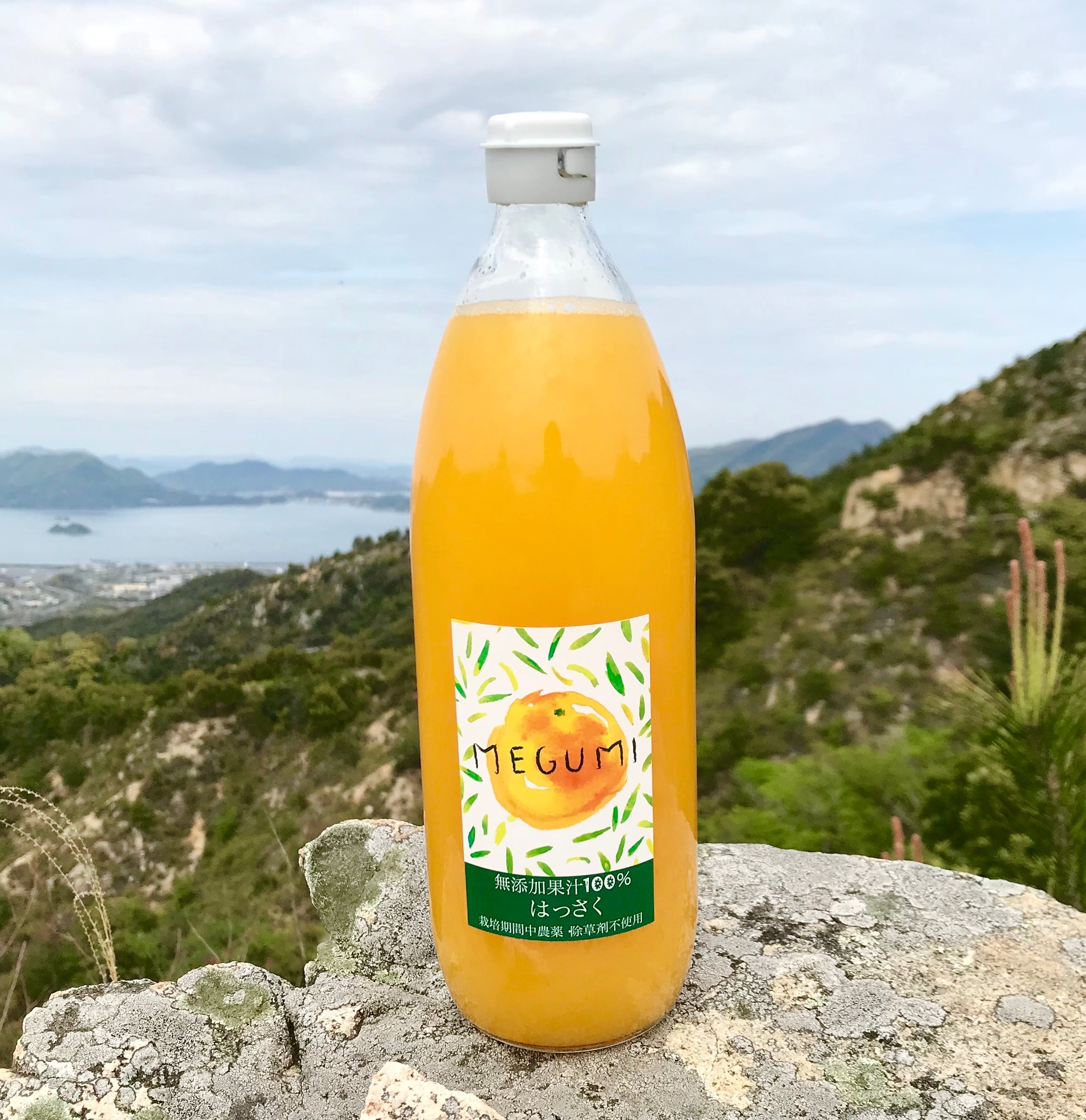 柑橘ミックスジュース 1000ml 無添加100％ 3本 | 島恵自然農園