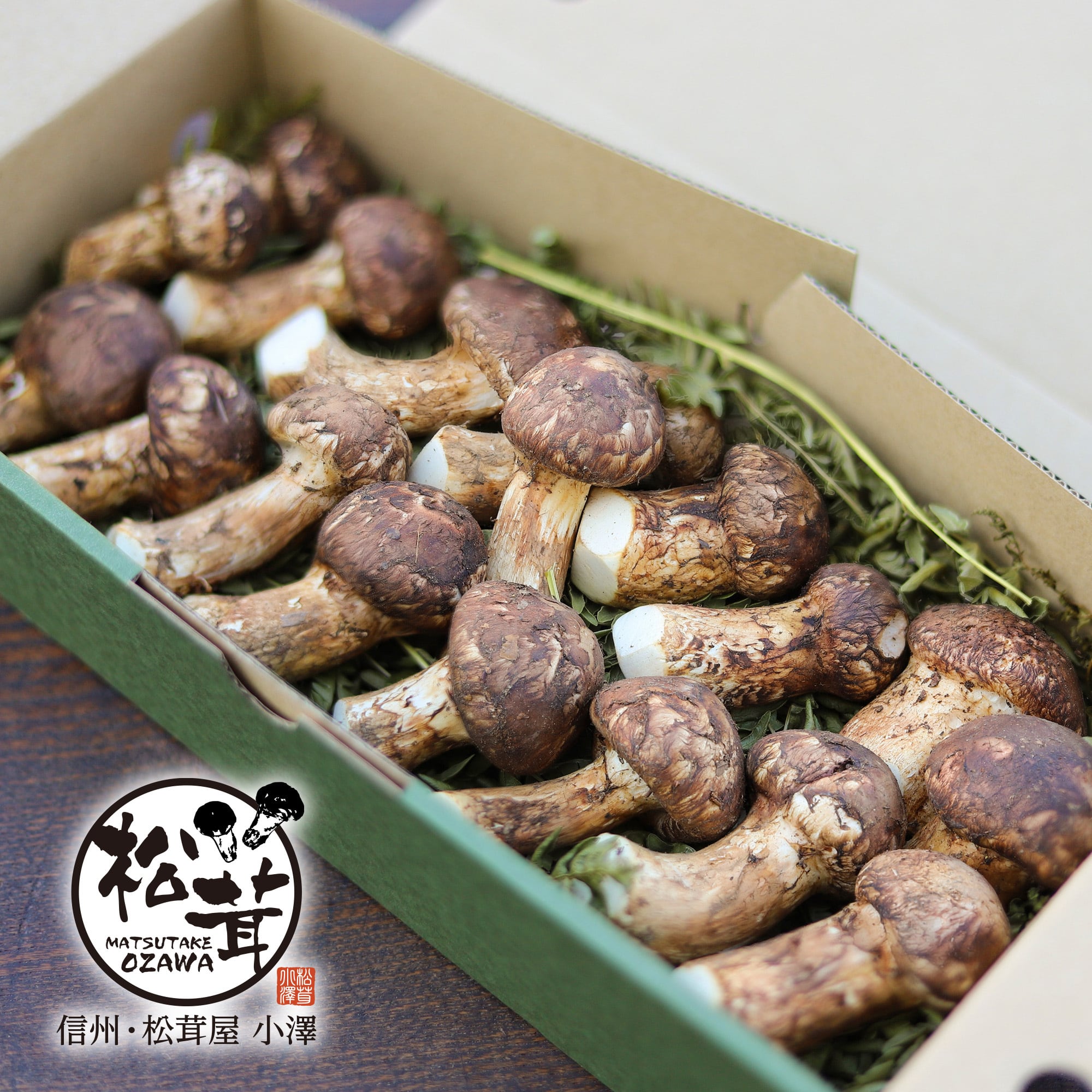 信州松茸屋 茸王-松覇 信州松茸屋 茸王-松覇