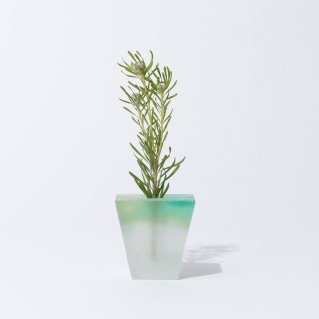 【Flower Vase】Vi -forest