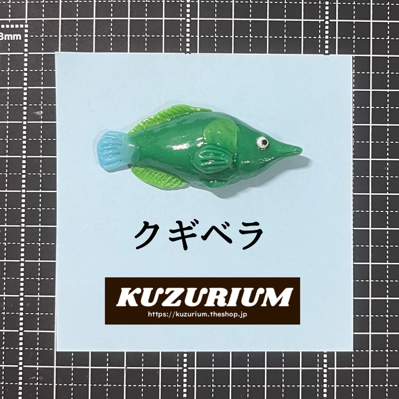 クギベラ】海のいきものマグネット | KUZURIUM（クズリウム）