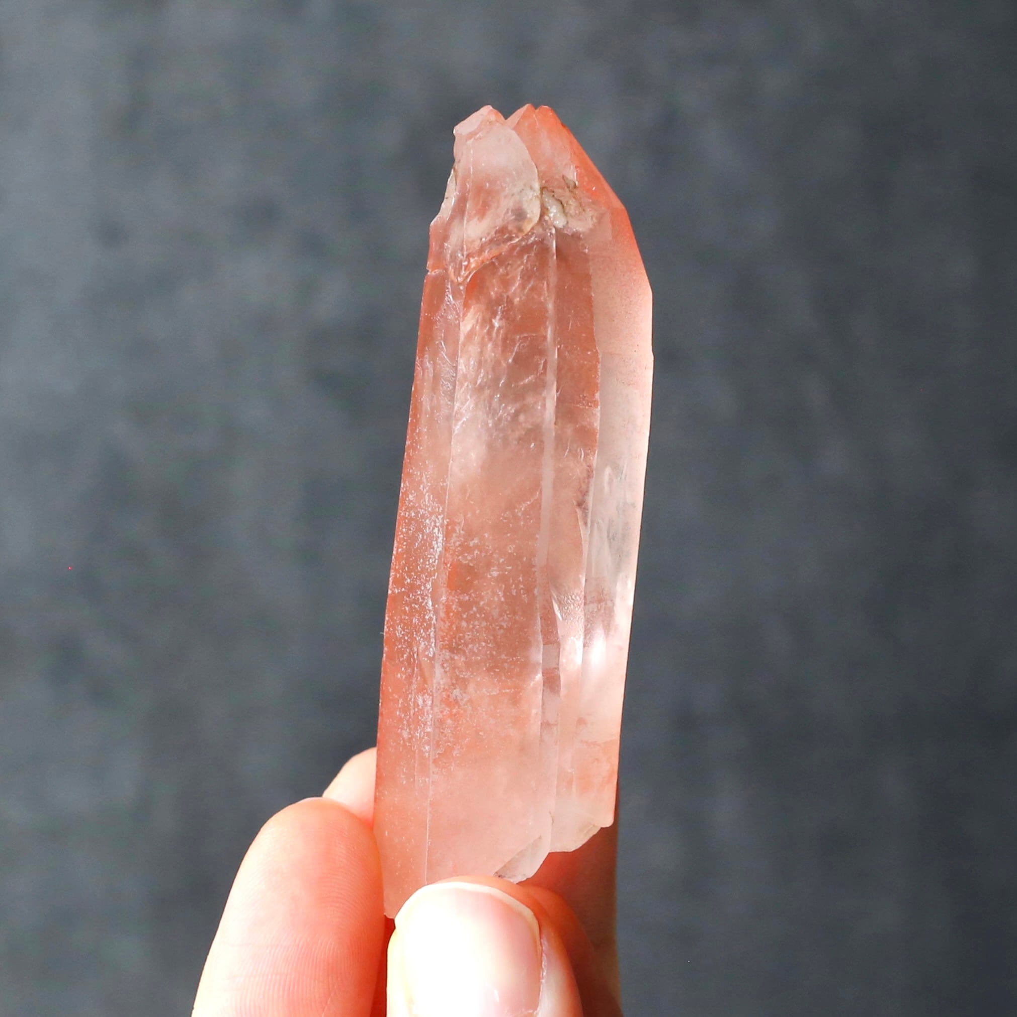 ピュアレイ レムリアンルーツ 原石 クリスタル 天然石 水晶 鉱物 一点