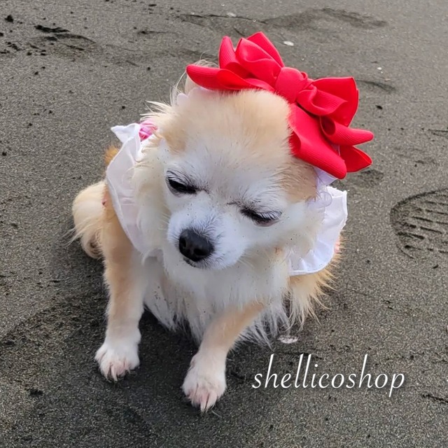 【red】ボリュームたっぷりリボンチョーカー