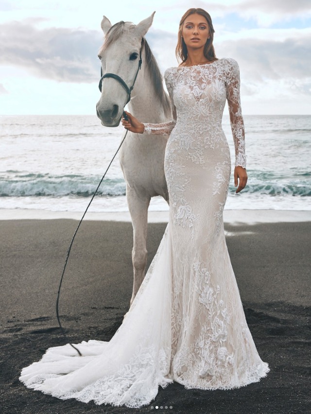 ロング刺繍スリーブ ウエディングドレス フォトウエディング ロング刺繍スリーブ ウエディングドレス フォトウエディング