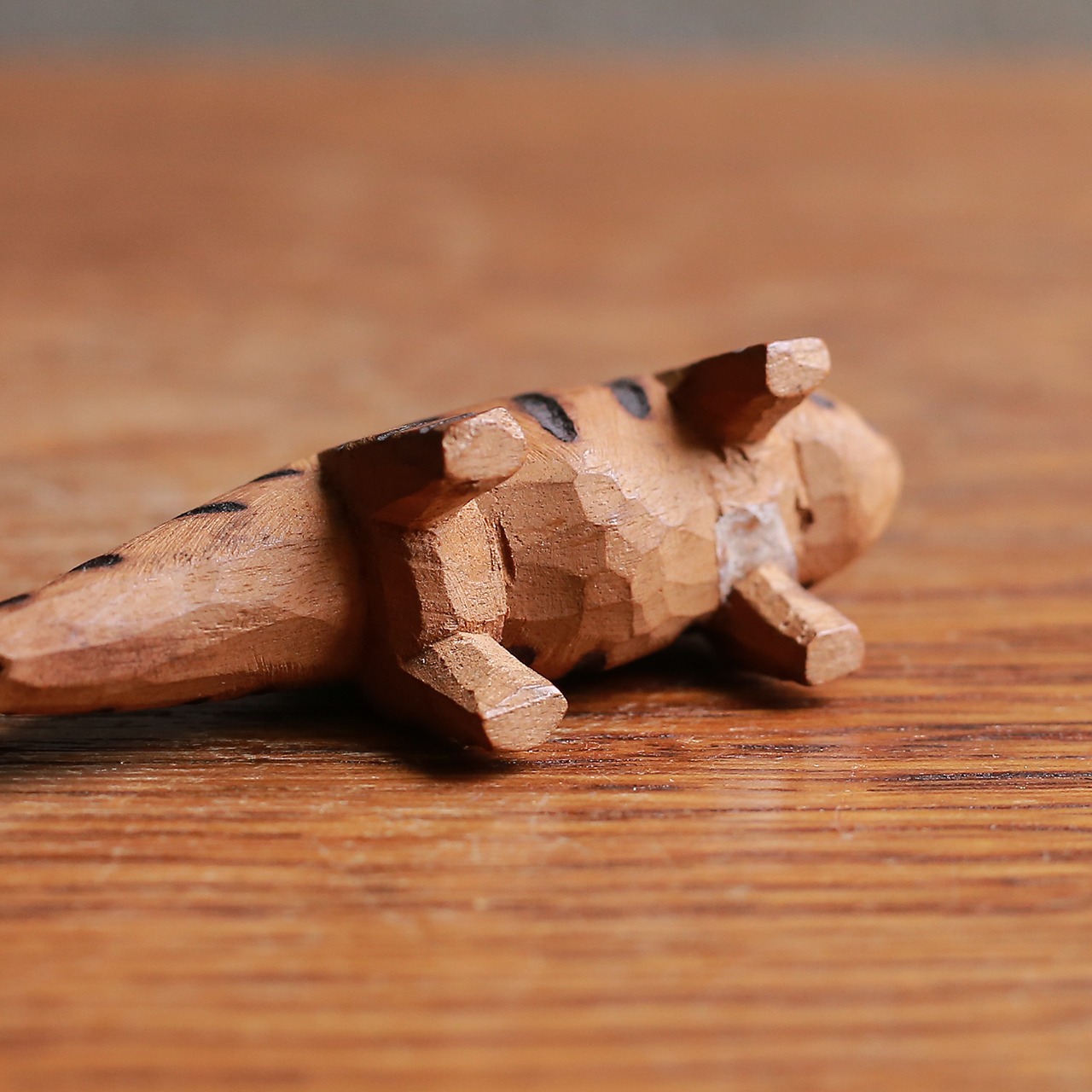 こちらをチラッと見る、小さなカメレオン