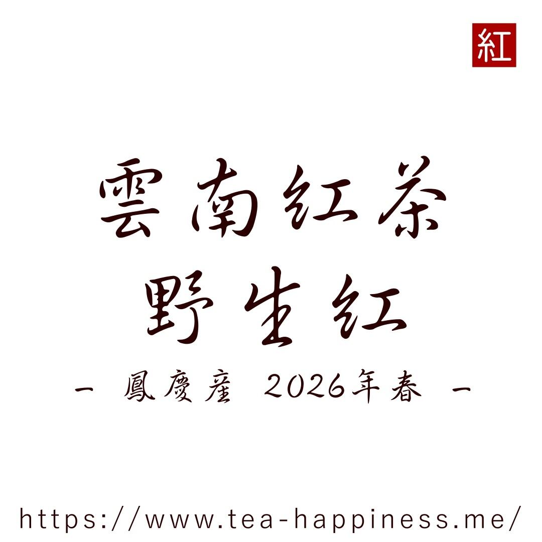 雲南紅茶 野生紅 2025年頭春 鳳慶産 20g | 中国茶専門店 Tea Happiness