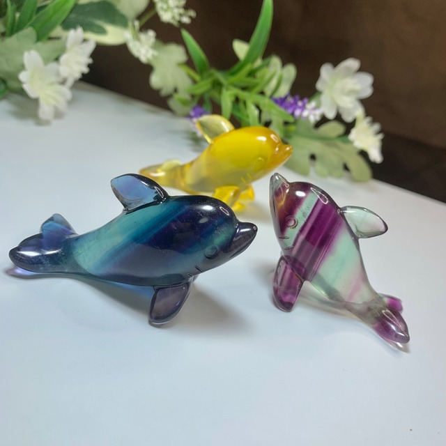 大家族☆海のアニマル♪♪フローライトイルカ☆