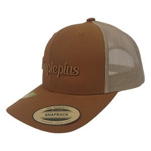 RRT MESH CAP DP-2D19G