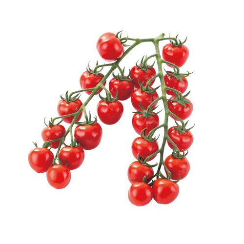 トマト 「CFプチぷよⅡ」（100粒） 画像